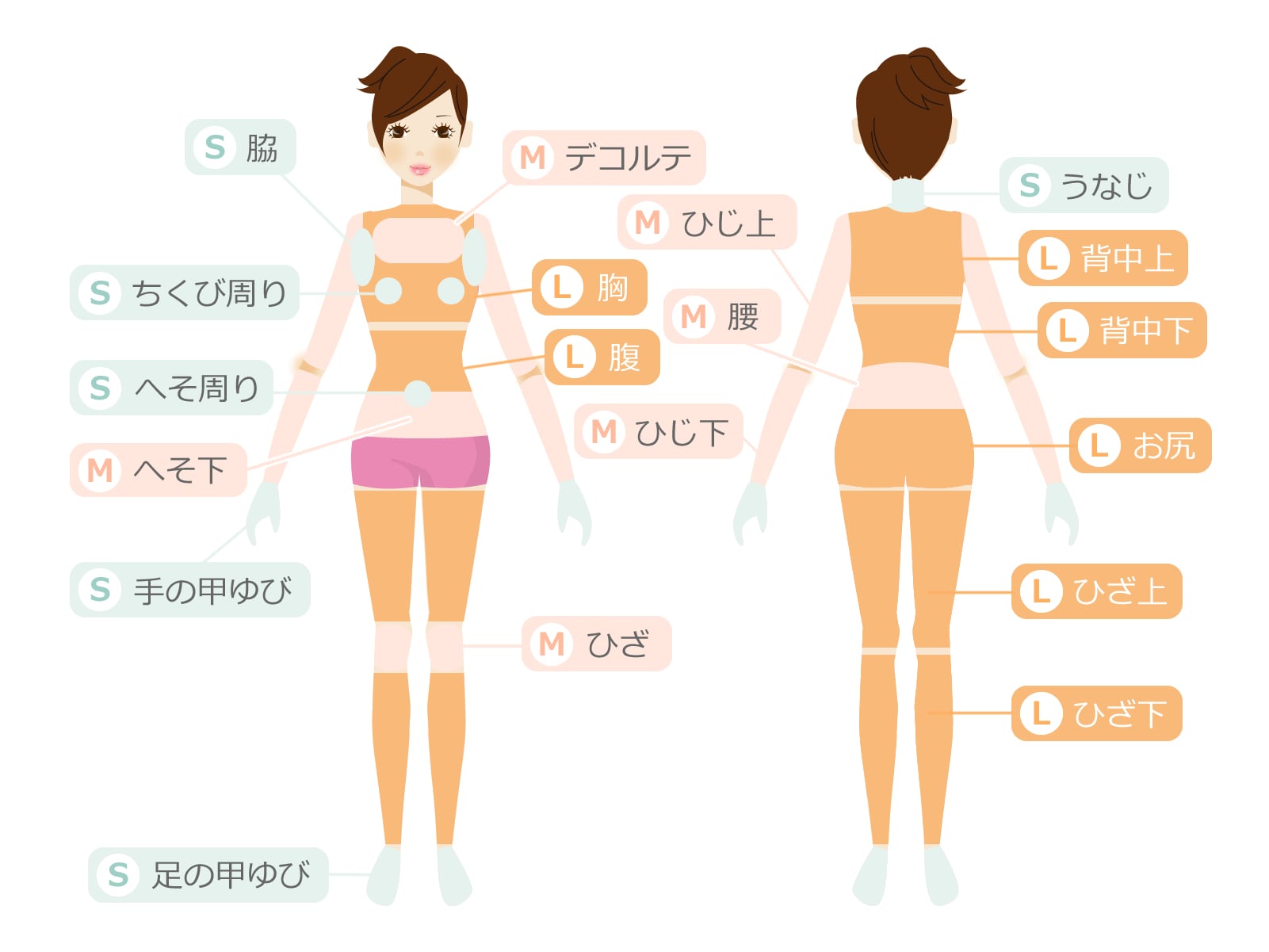 パーツ別脱毛　部位